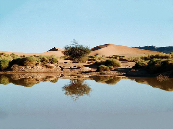 Partenza in Algeria 2025/2026